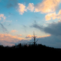 Sunset, Rough Trail